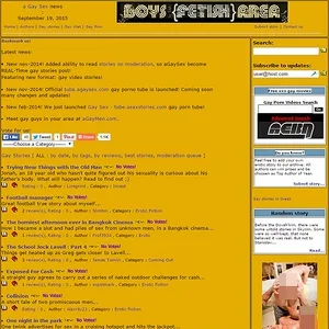 aGaySex Stories 网站截图