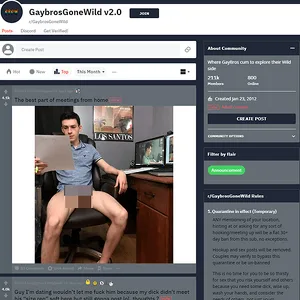 GaybrosGoneWild 网站截图
