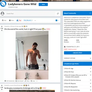 LadyBonersGW 网站截图