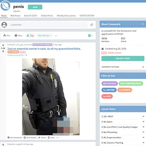 Penis 网站截图