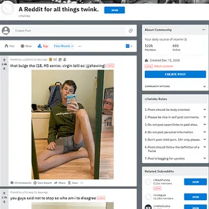 Twinks 网站截图