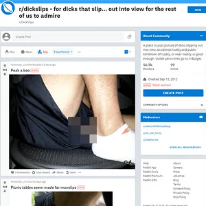 DicksLips 网站截图