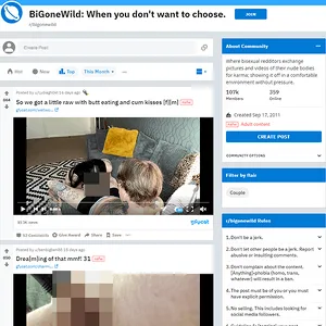 BiGoneWild 网站截图