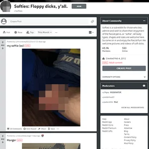 Softies 网站截图