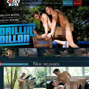 CockyBoys 网站截图