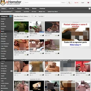 xHamster Bear 网站截图
