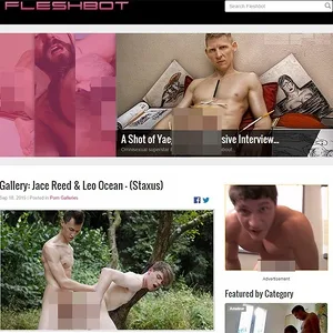 FleshBot Gay 网站截图