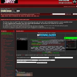 SAFF 网站截图