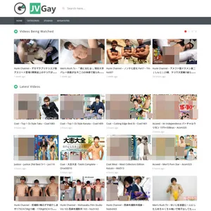 JVGay 网站截图