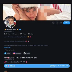 WillowTwink 网站截图