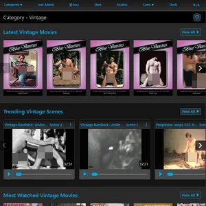 AEBN Vintage 网站截图