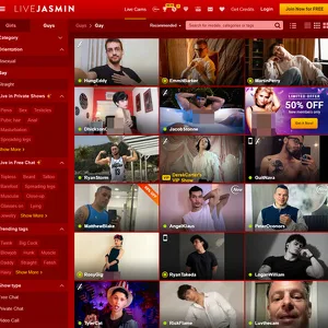 LiveJasminGay 网站截图
